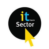 It sector
