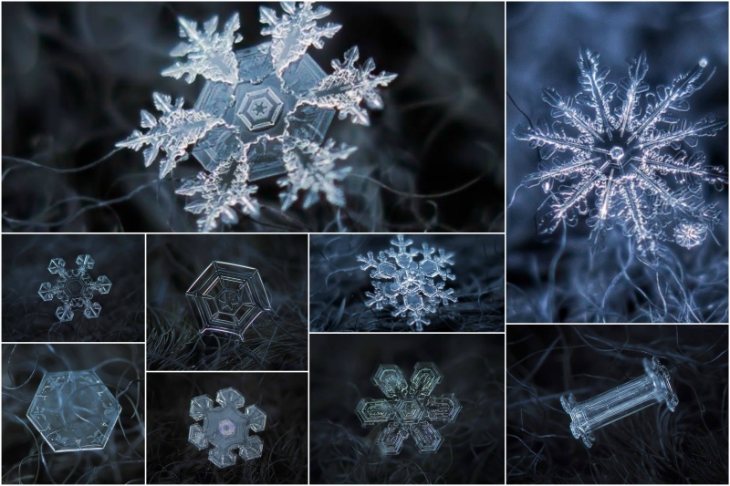 Макрофотографии снежинок
