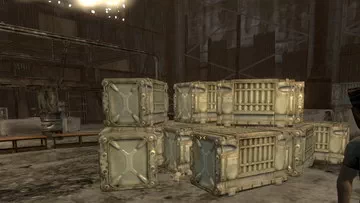 Fallout: New Vegas. Мистер дружок Мистер дружок