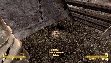 Fallout: New Vegas. Слепой глаз Слепой глаз