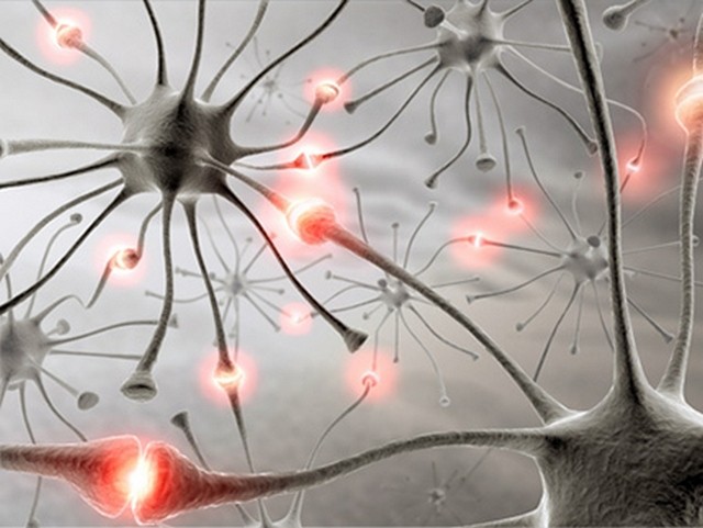 Количество нейронов в мозге Невероятные факты о человеческом теле. Мозг