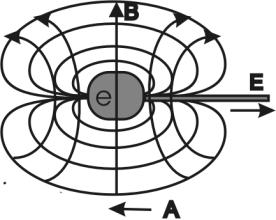 Электрическое и магнитное поля электрона